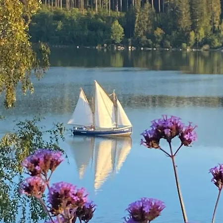 Апартаменты Schluchsee, Seepark