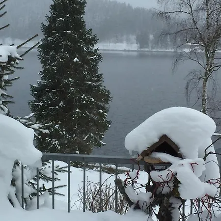 Schluchsee, Seepark